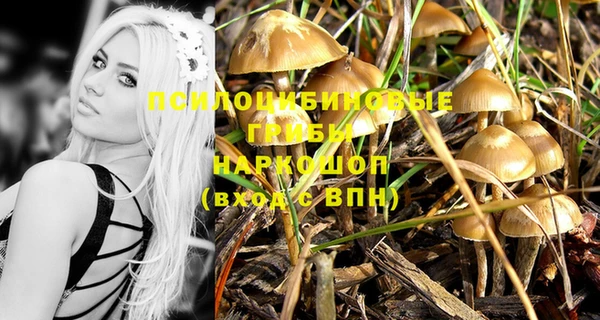 mix Алексеевка