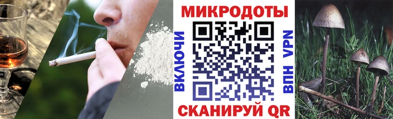 где купить   Чехов  Галлюциногенные грибы Cubensis 